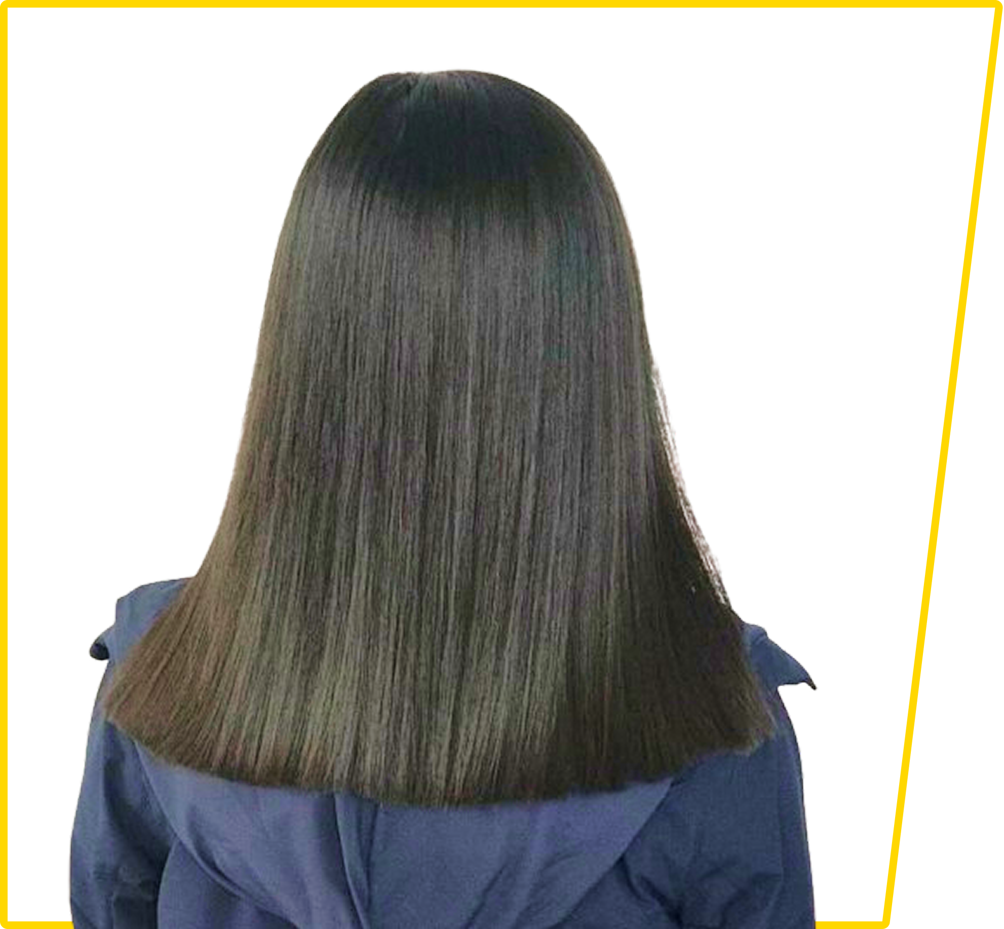 group 1000006055 (1)